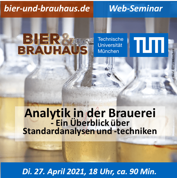 Web-Seminar Analytik