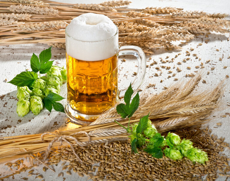 Buchvorschau: Meine Bierschule